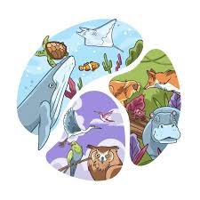 Imágenes de Zoologia - Descarga gratuita en Freepik